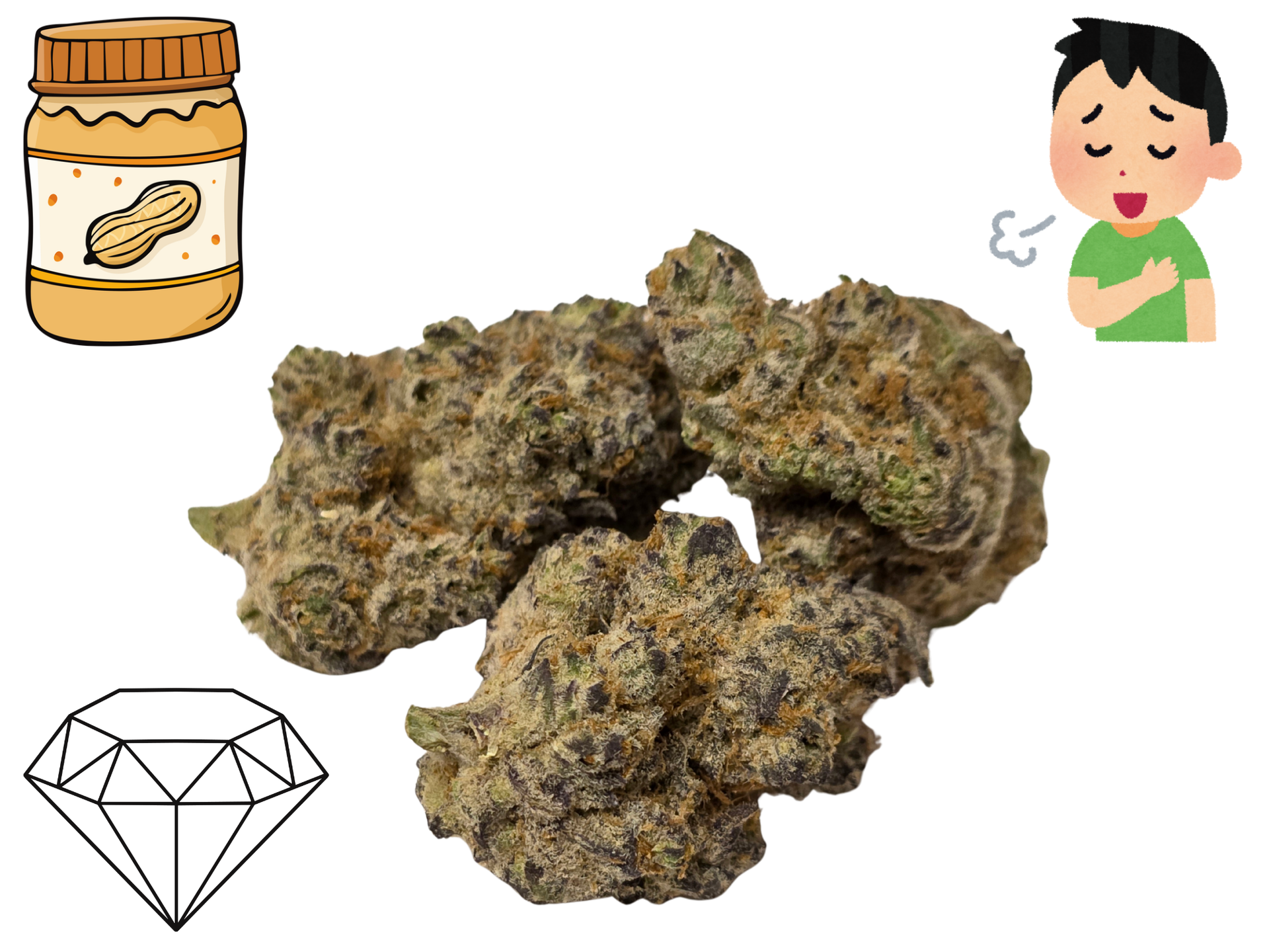 Peanut Butter Breath- Diamond Tier- THCa- Hybrid / 1g